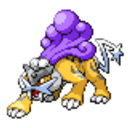 243 Raikou icon